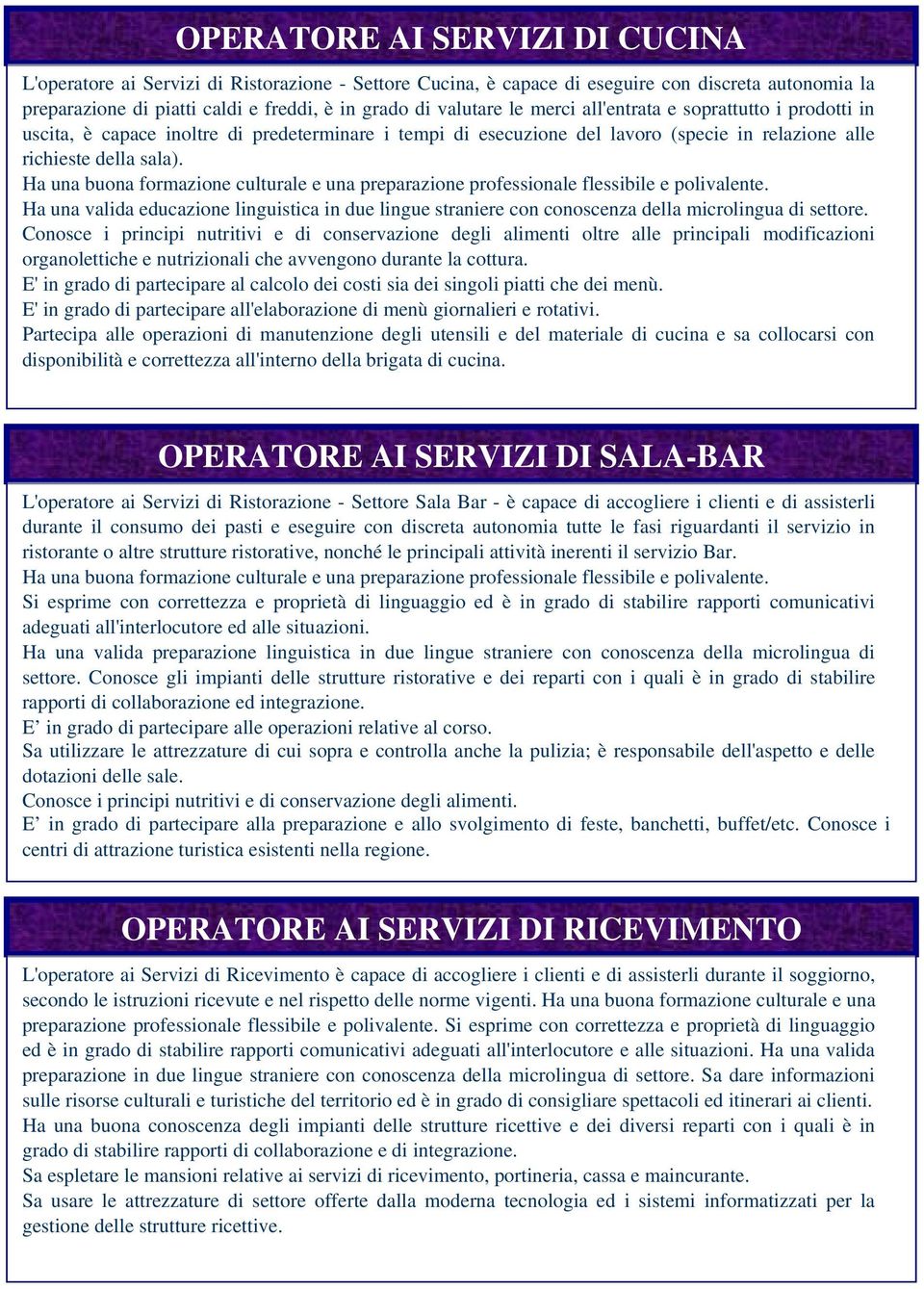 Ha una buona formazione culturale e una preparazione professionale flessibile e polivalente. Ha una valida educazione linguistica in due lingue straniere con conoscenza della microlingua di settore.