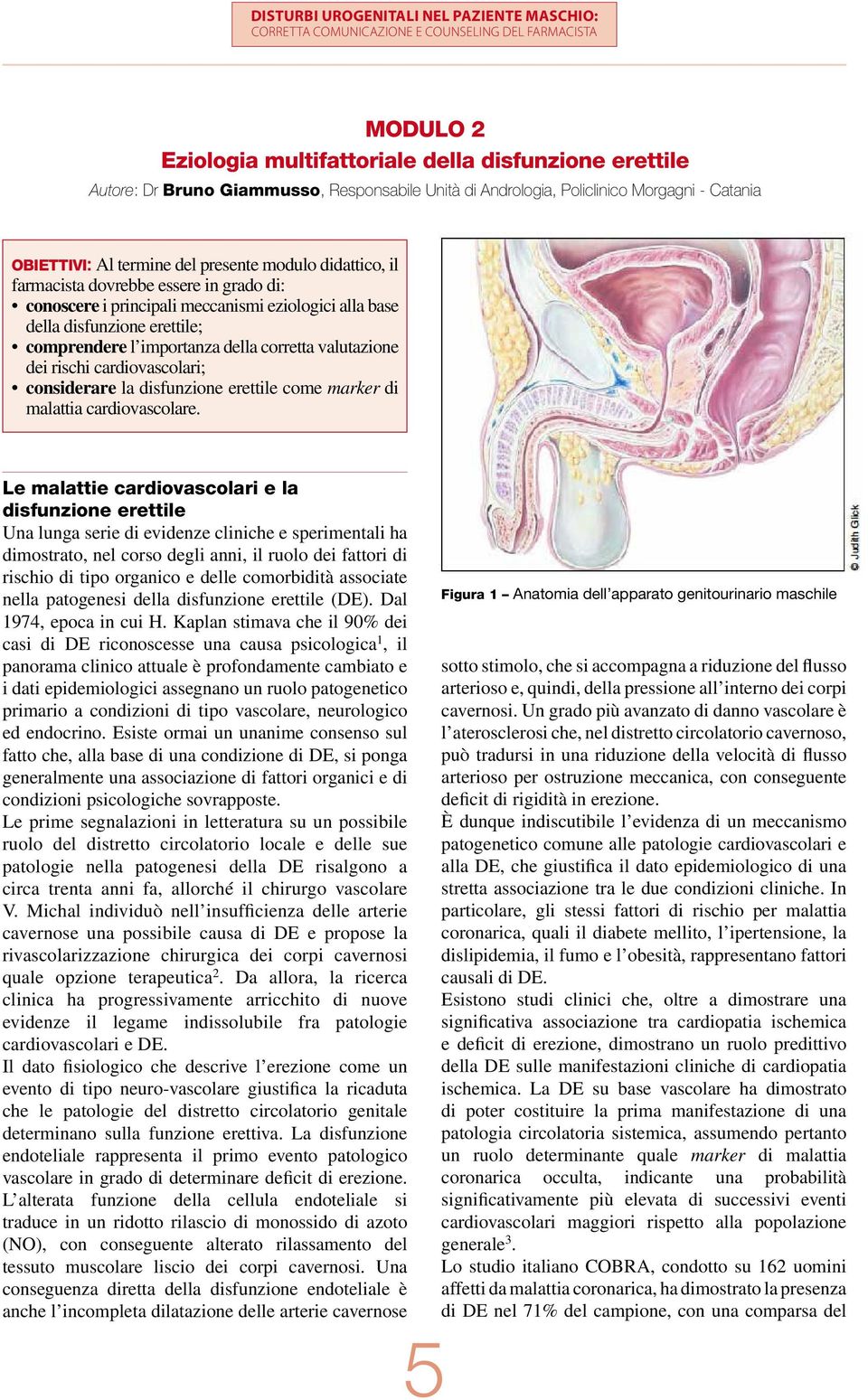 cnsiderare la disfunzine erettile cme marker di malattia cardivasclare.