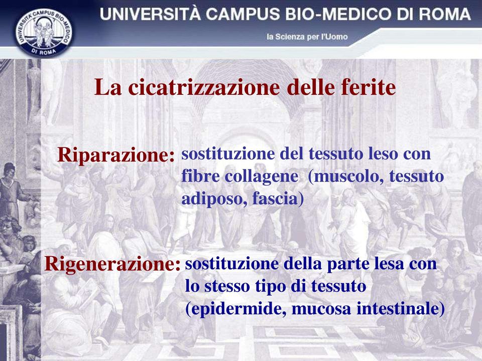 adiposo, fascia) Rigenerazione: sostituzione della parte