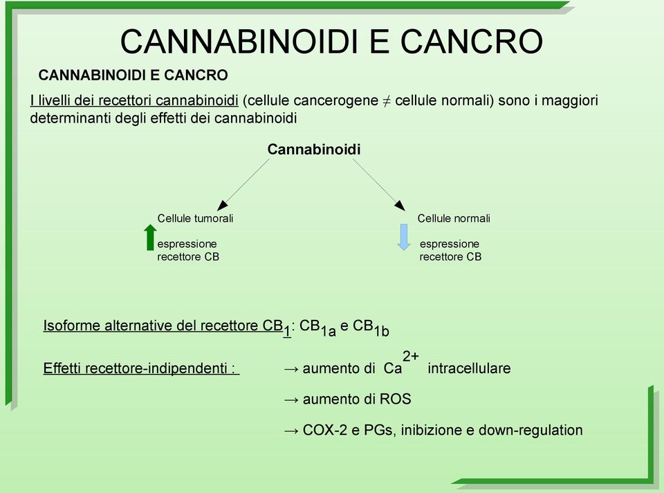 normali espressione recettore CB espressione recettore CB Isoforme alternative del recettore CB1: CB1a e CB1b