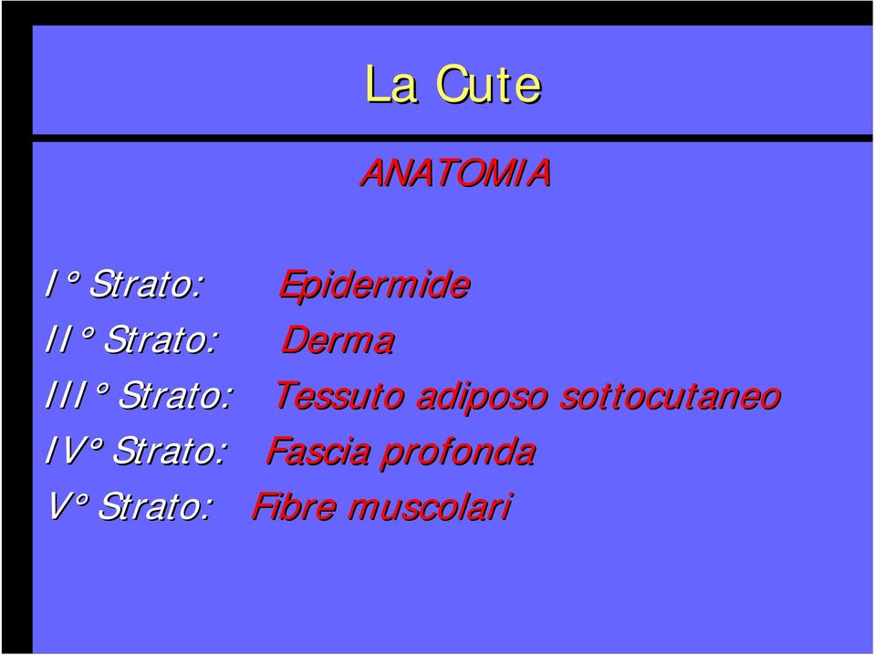 Epidermide Derma Tessuto adiposo