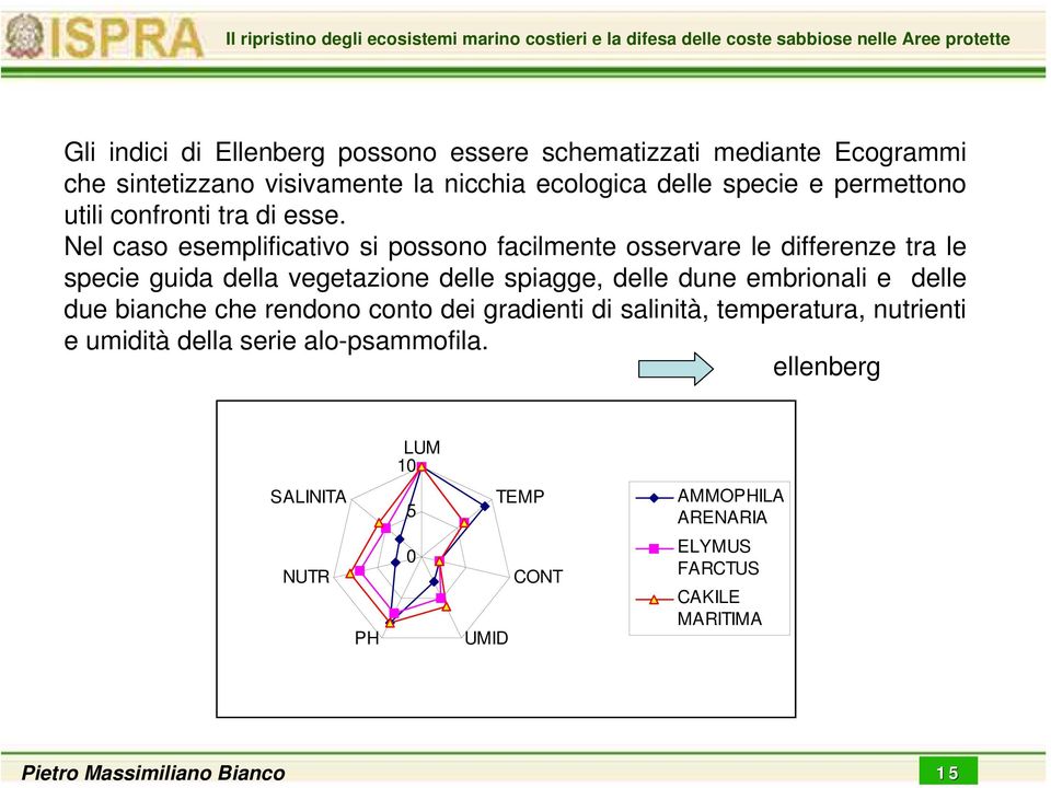 Nel caso esemplificativo si possono facilmente osservare le differenze tra le specie guida della vegetazione delle spiagge, delle dune embrionali