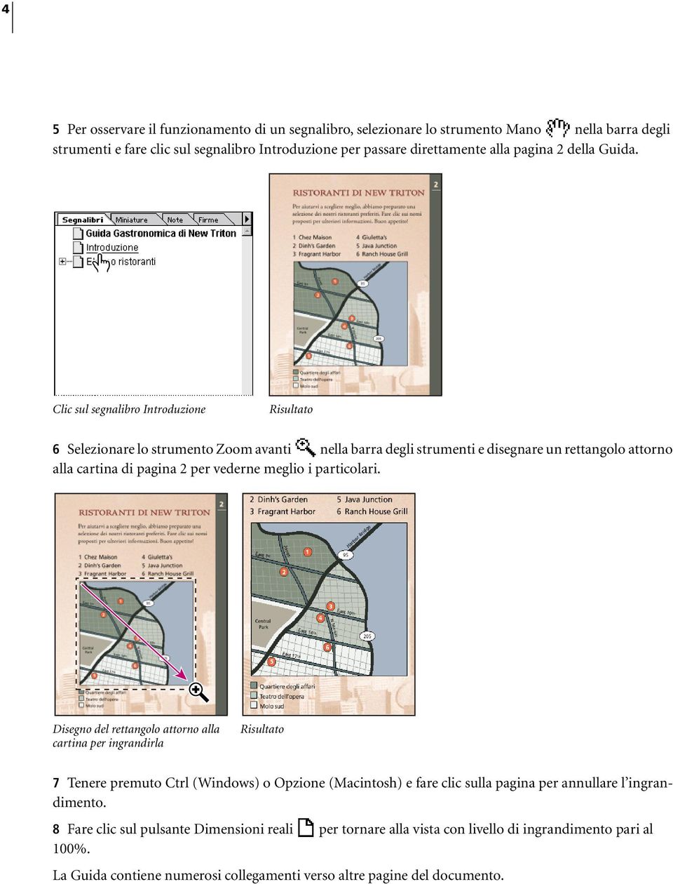 Clic sul segnalibro Introduzione Risultato 6 Selezionare lo strumento Zoom avanti nella barra degli strumenti e disegnare un rettangolo attorno alla cartina di pagina 2 per vederne meglio i