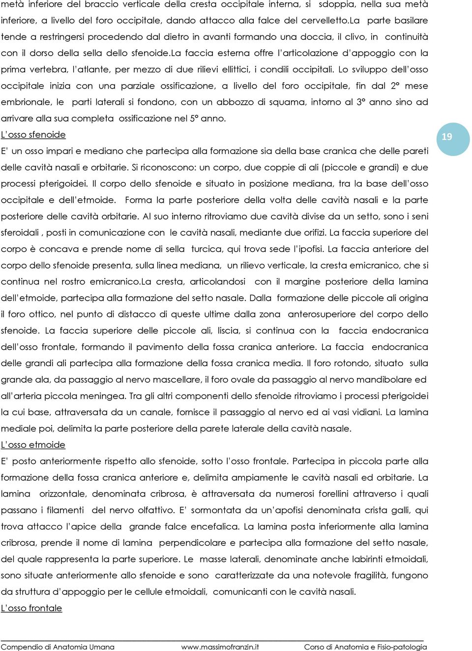 la faccia esterna offre l articolazione d appoggio con la prima vertebra, l atlante, per mezzo di due rilievi ellittici, i condili occipitali.