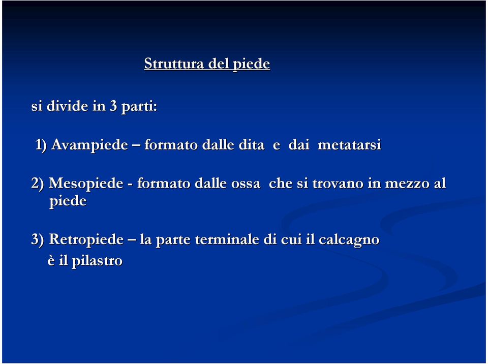 formato dalle ossa che si trovano in mezzo al piede 3)