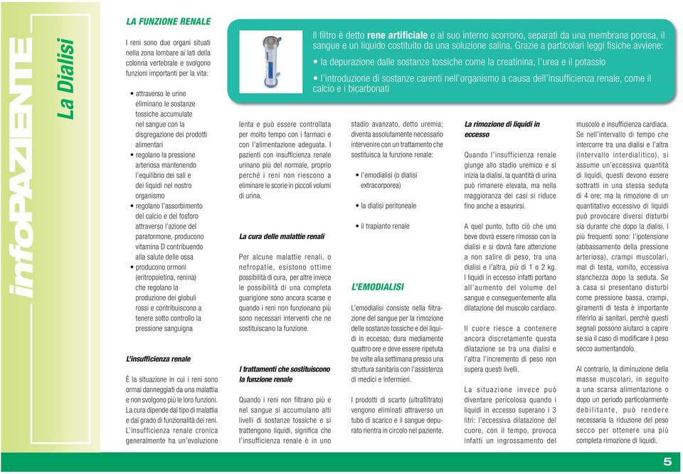 calcio e del fosforo attraverso l azione del paratormone, producono vitamina D contribuendo alla salute delle ossa producono ormoni (eritropoietina, renina) che regolano la produzione dei globuli