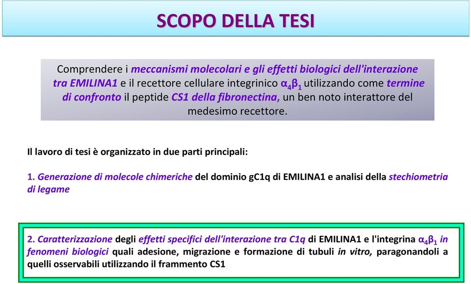 Generazione di molecole chimeriche del dominio gc1q di EMILINA1e analisi della stechiometria di legame 2.