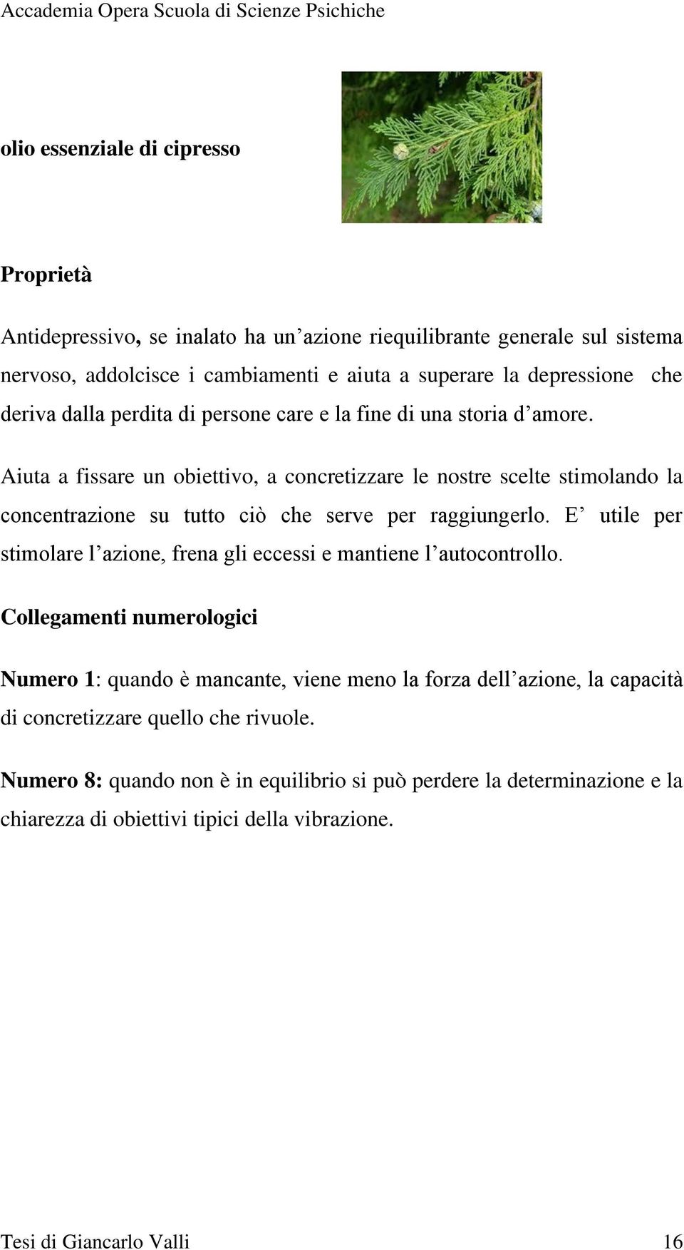 Aiuta a fissare un obiettivo, a concretizzare le nostre scelte stimolando la concentrazione su tutto ciò che serve per raggiungerlo.