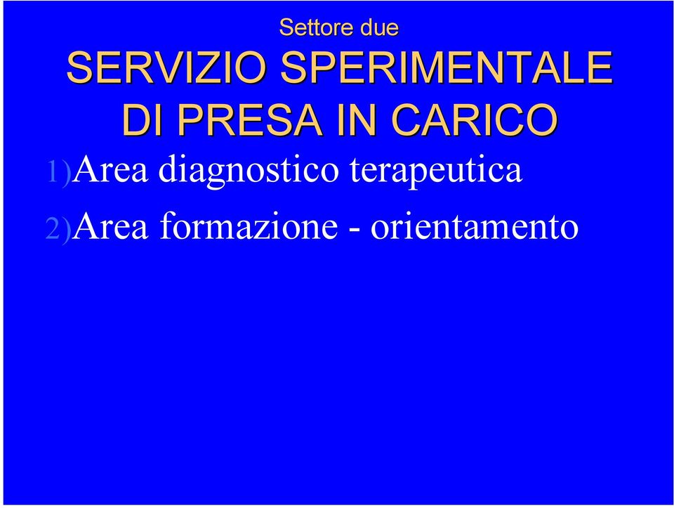 CARICO 1)Area diagnostico