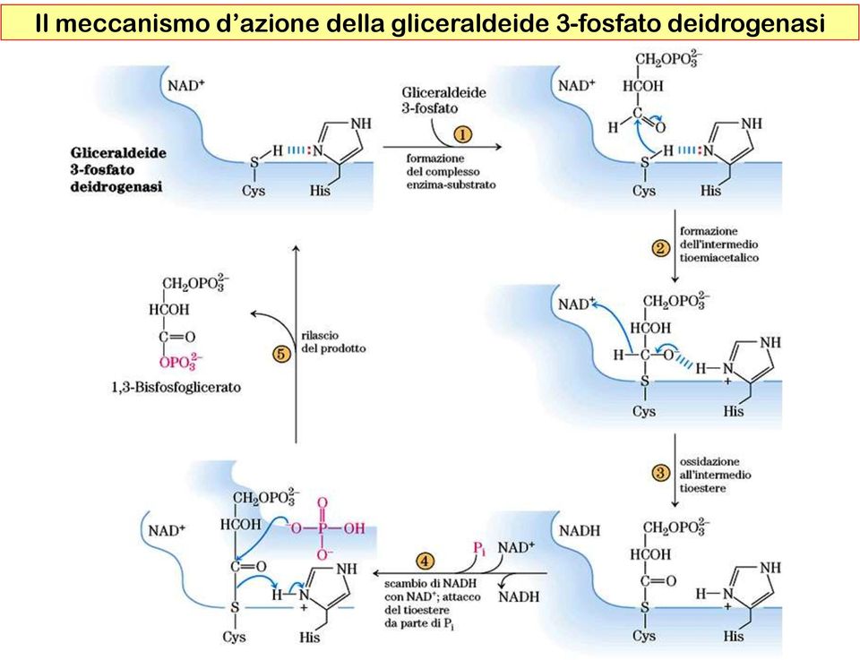 gliceraldeide