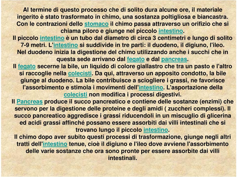 Il piccolo intestino è un tubo dal diametro di circa 3 centimetri e lungo di solito 7-9 metri. L'intestino si suddivide in tre parti: il duodeno, il digiuno, l'ileo.