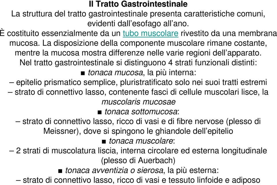 La disposizione della componente muscolare rimane costante, mentre la mucosa mostra differenze nelle varie regioni dell apparato.