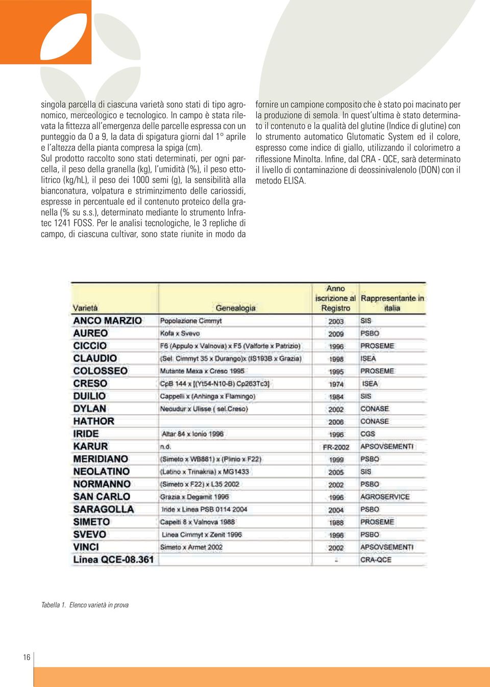 Sul prodotto raccolto sono stati determinati, per ogni parcella, il peso della granella (kg), l umidità (%), il peso ettolitrico (kg/hl), il peso dei 1000 semi (g), la sensibilità alla bianconatura,