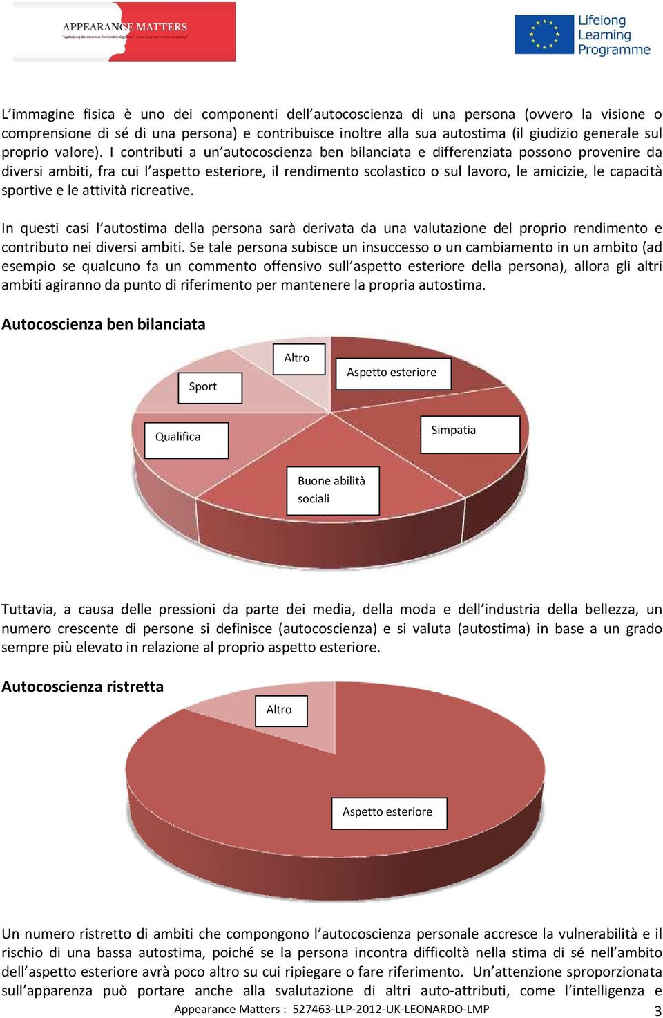 I contributi a un autocoscienza ben bilanciata e differenziata possono provenire da diversi ambiti, fra cui l aspetto esteriore, il rendimento scolastico o sul lavoro, le amicizie, le capacità