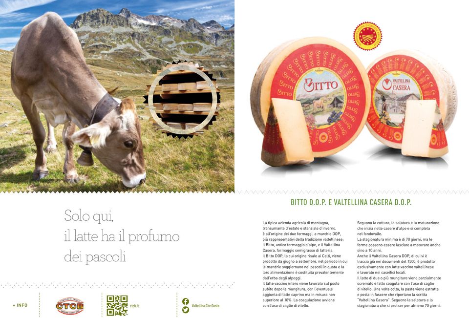 La tipica azienda agricola di montagna, transumante d estate e stanziale d inverno, è all origine dei due formaggi, a marchio DOP, più rappresentativi della tradizione valtellinese: il Bitto, antico