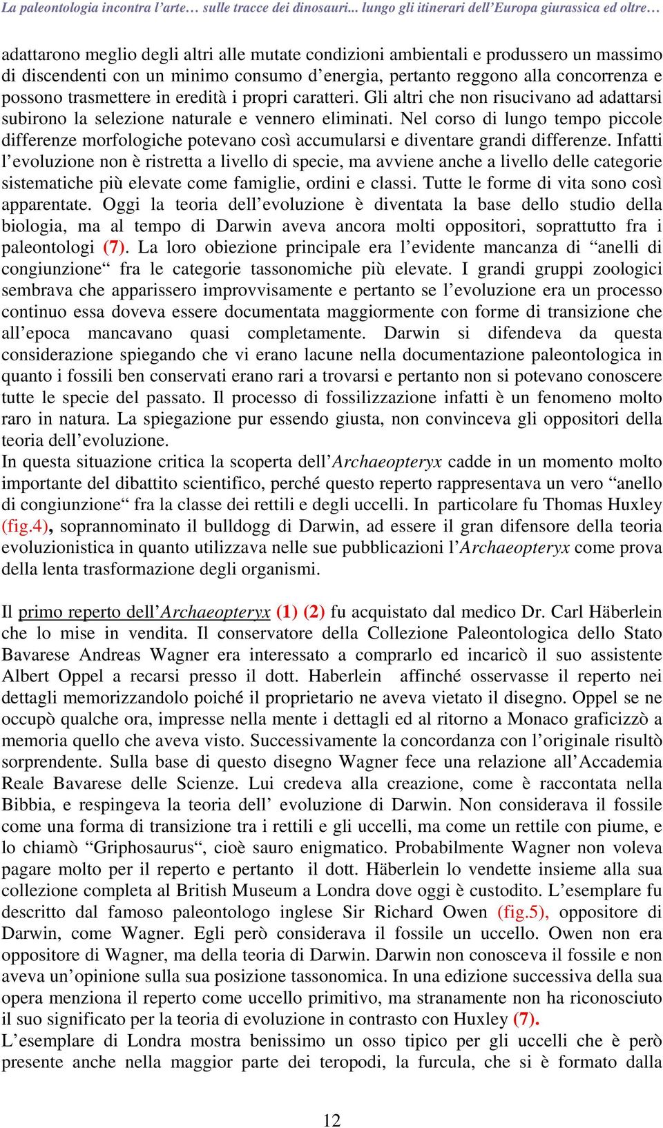 Nel corso di lungo tempo piccole differenze morfologiche potevano così accumularsi e diventare grandi differenze.