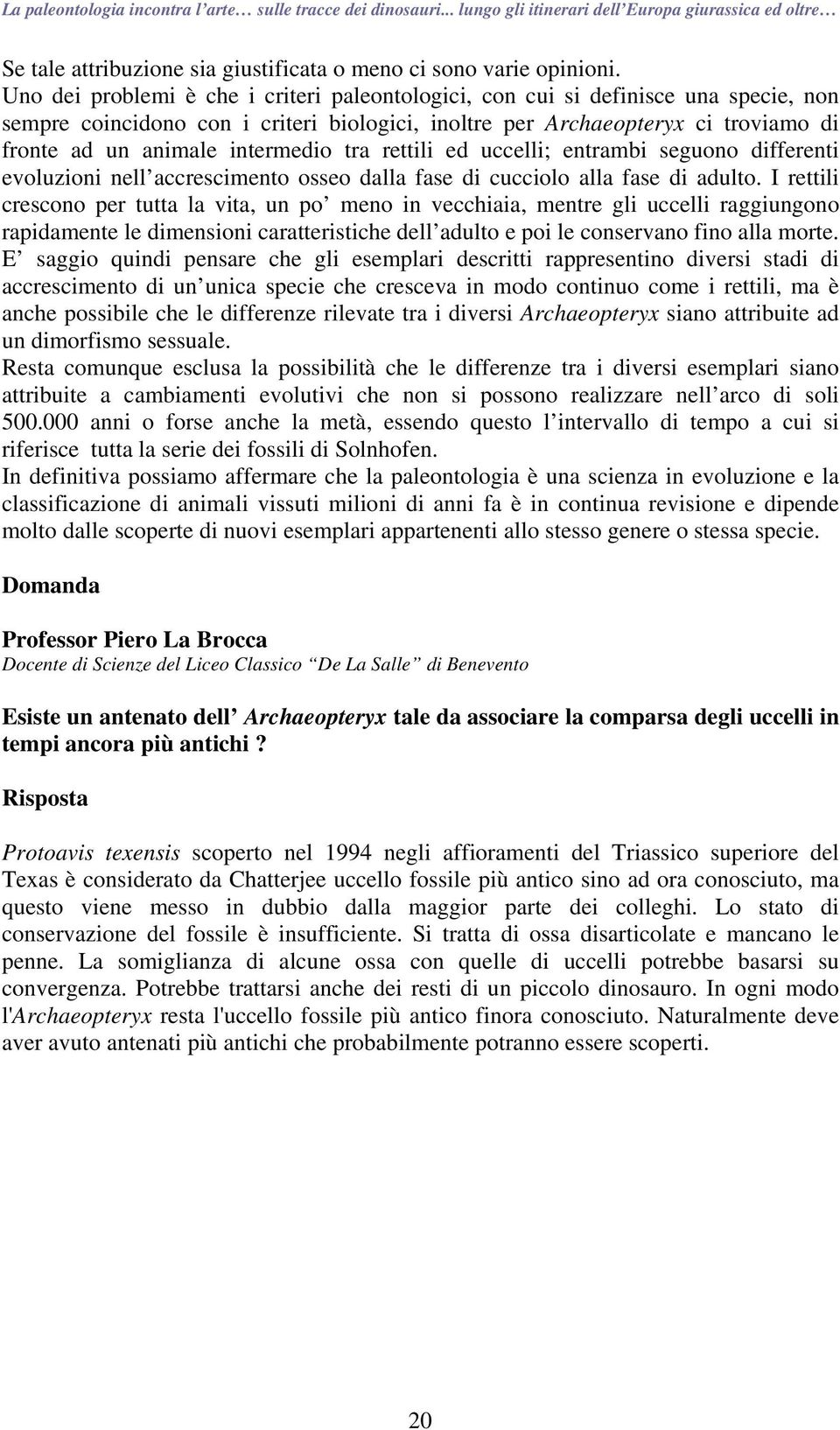 intermedio tra rettili ed uccelli; entrambi seguono differenti evoluzioni nell accrescimento osseo dalla fase di cucciolo alla fase di adulto.