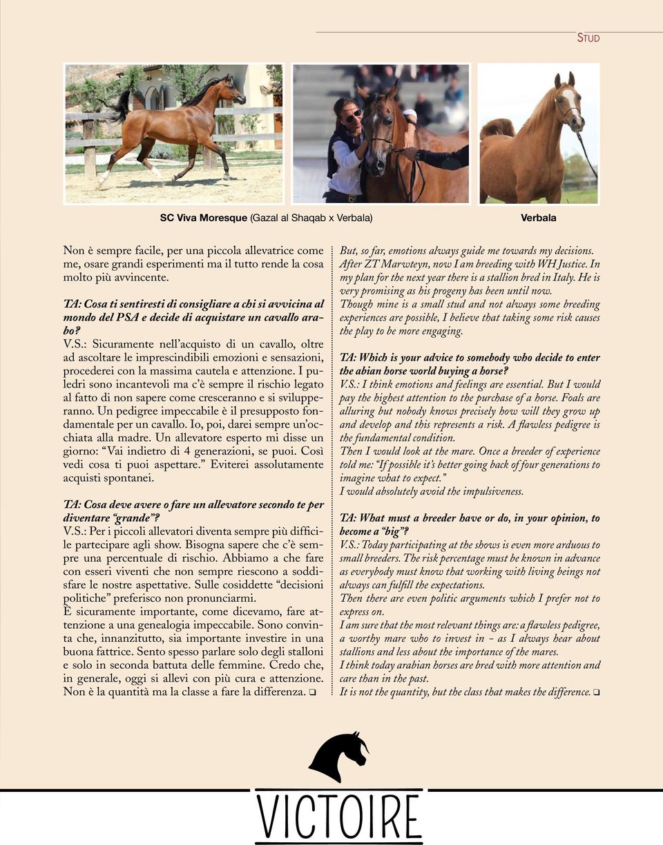 e decide di acquistare un cavallo arabo? V.S.: Sicuramente nell acquisto di un cavallo, oltre ad ascoltare le imprescindibili emozioni e sensazioni, procederei con la massima cautela e attenzione.