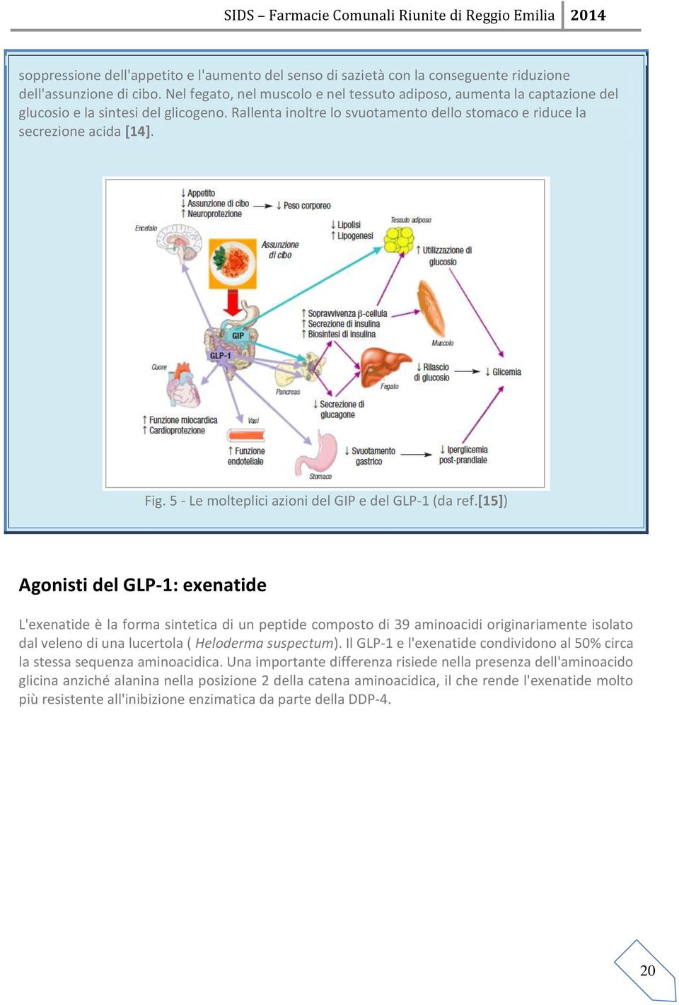 5 - Le molteplici azioni del GIP e del GLP-1 (da ref.