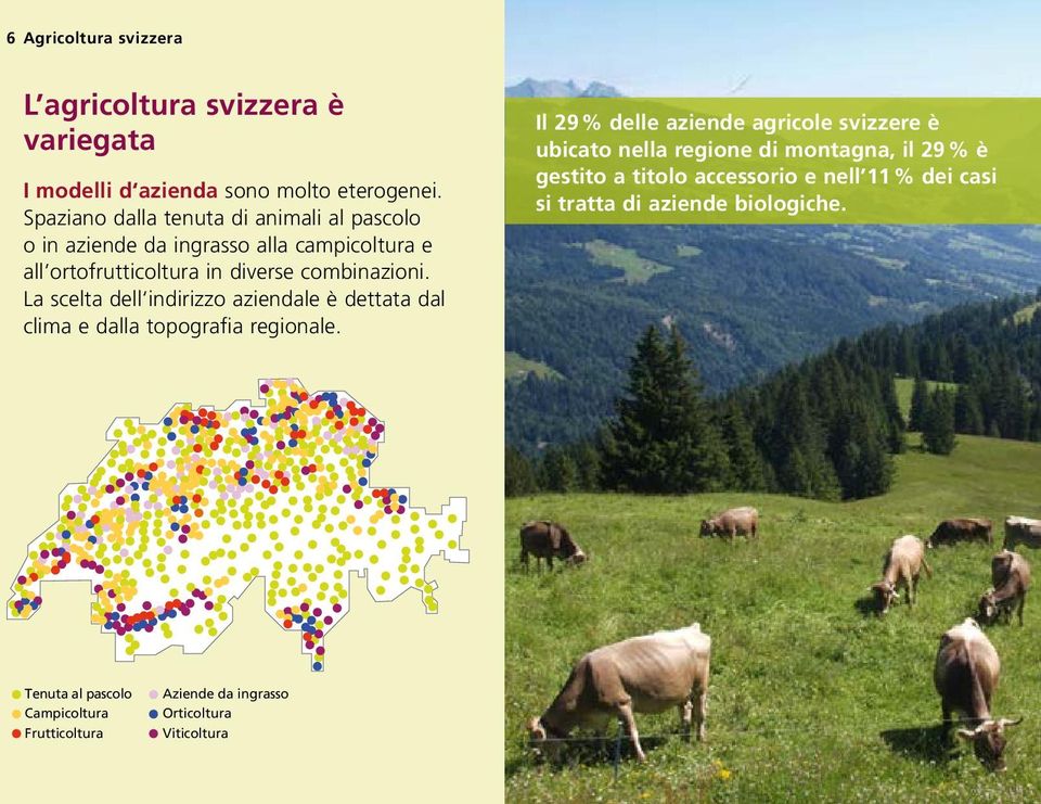 La scelta dell indirizzo aziendale è dettata dal clima e dalla topografia regionale.