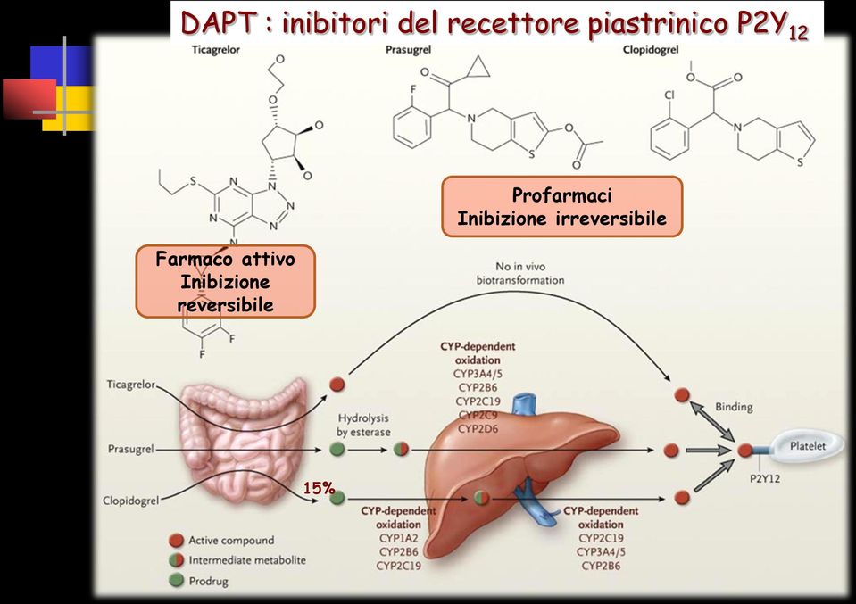 Farmaco attivo Inibizione