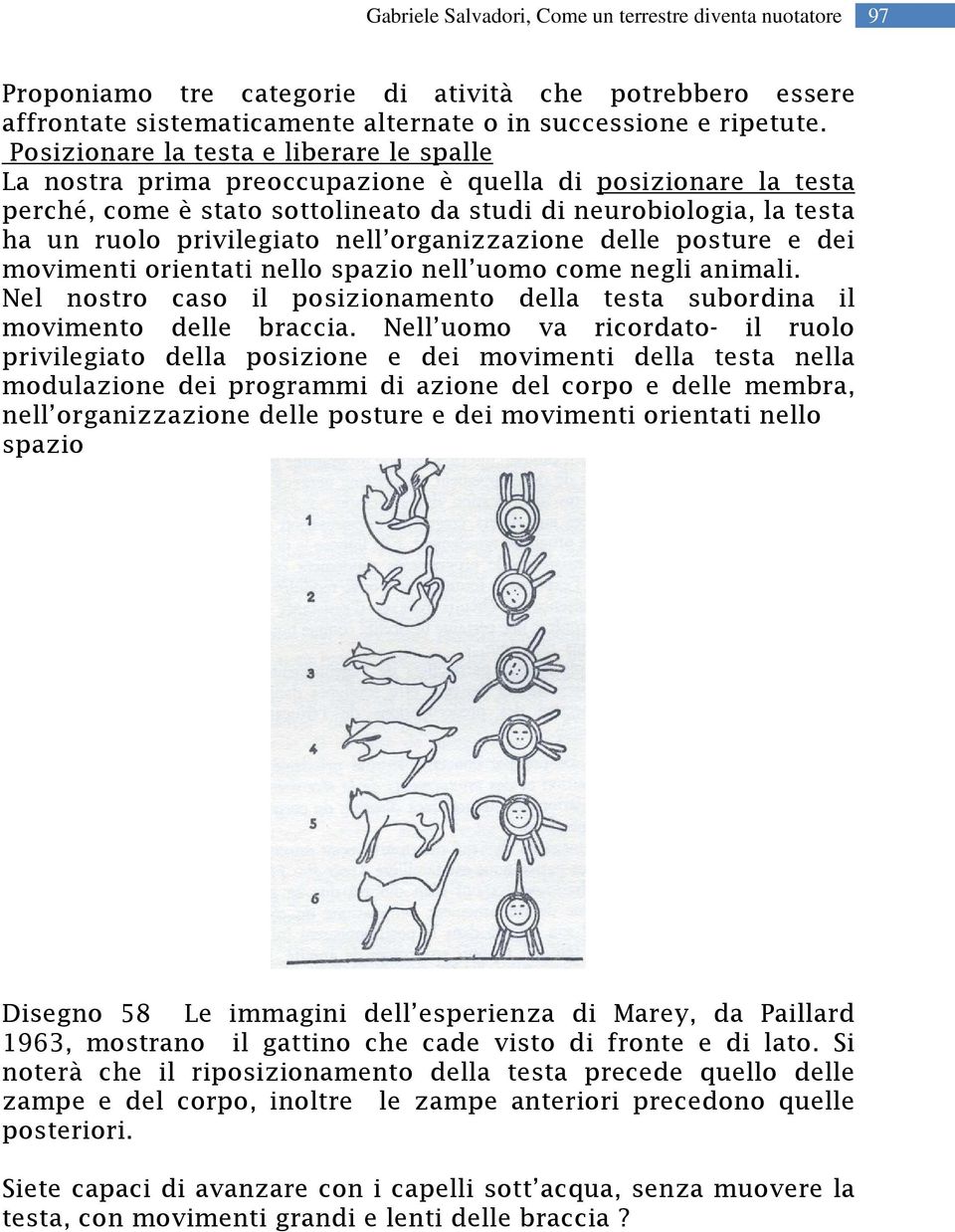 privilegiato nell organizzazione delle posture e dei movimenti orientati nello spazio nell uomo come negli animali. Nel nostro caso il posizionamento della testa subordina il movimento delle braccia.