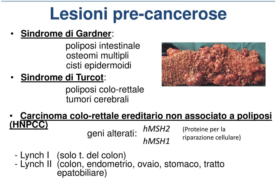 ereditario non associato a poliposi (HNPCC) hmsh2 (Proteine per la geni alterati: riparazione