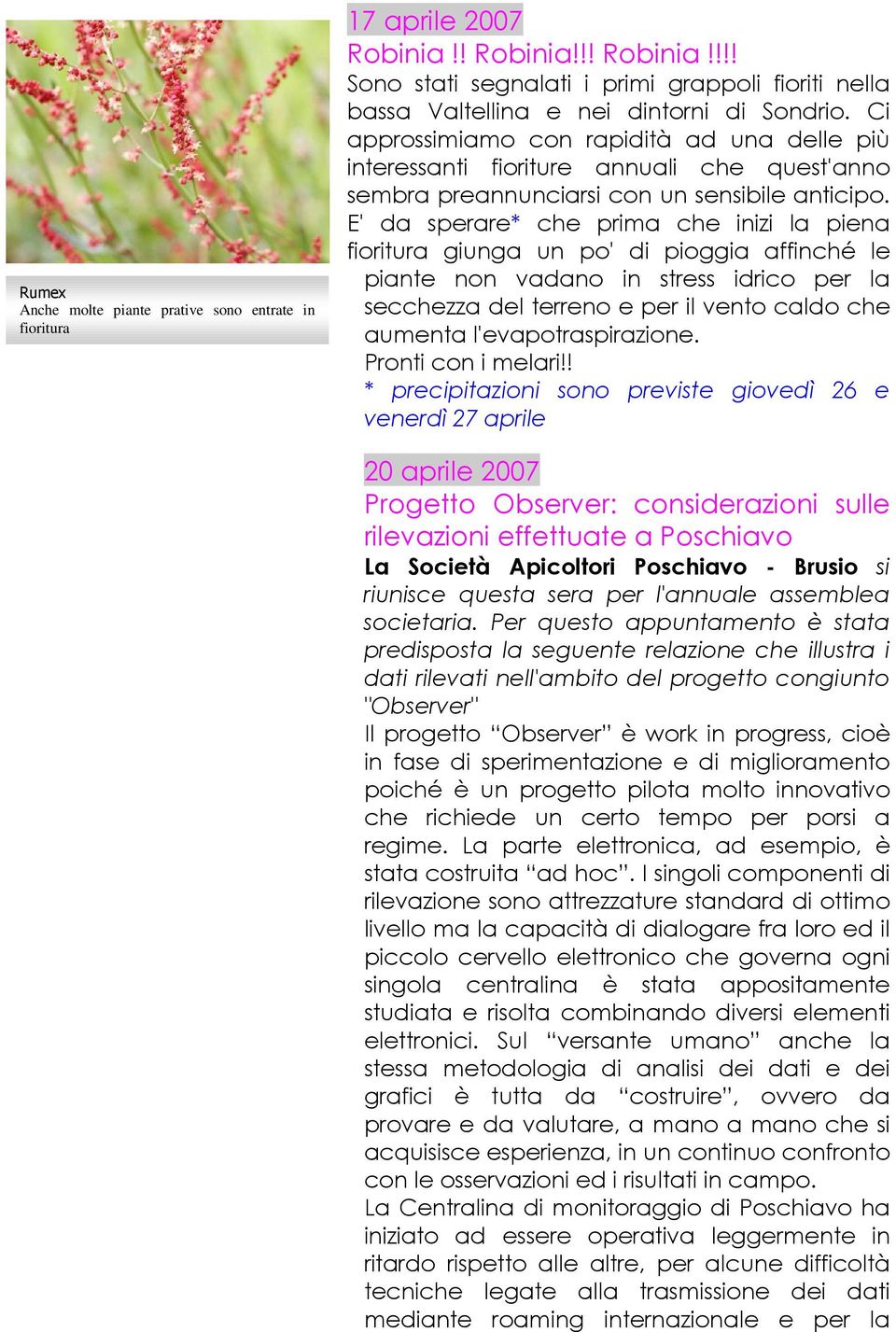 E' da sperare* che prima che inizi la piena fioritura giunga un po' di pioggia affinché le piante non vadano in stress idrico per la secchezza del terreno e per il vento caldo che aumenta