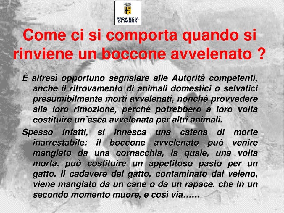 alla loro rimozione, perché potrebbero a loro volta costituire un esca avvelenata per altri animali.