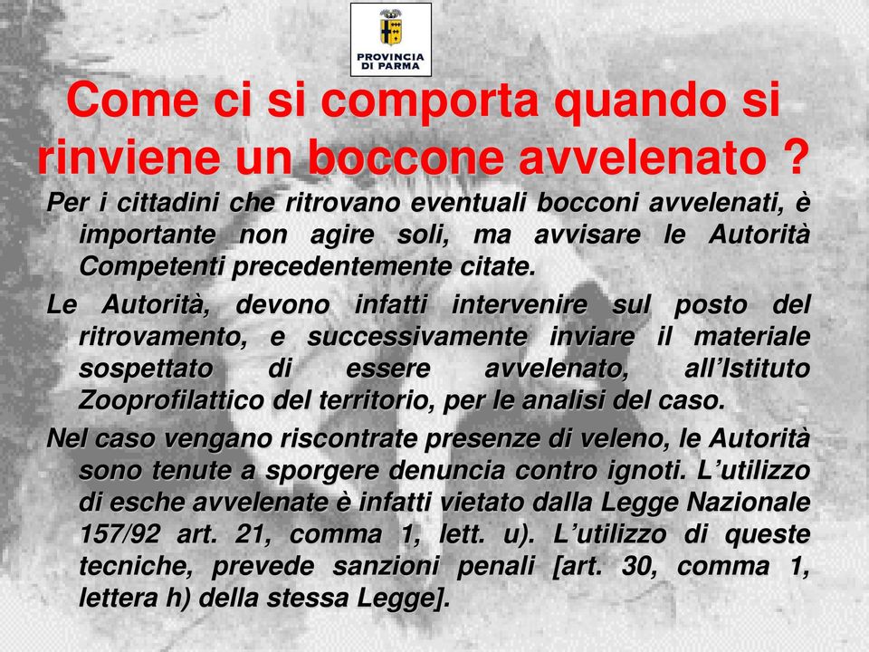 Le Autorità, devono infatti intervenire sul posto del ritrovamento, e successivamente inviare il materiale sospettato di essere avvelenato, all Istituto Zooprofilattico del territorio,