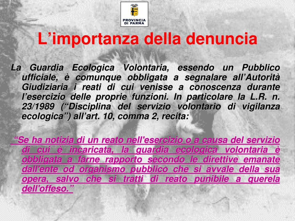 23/1989 ( Disciplina del servizio volontario di vigilanza ecologica ) all art.