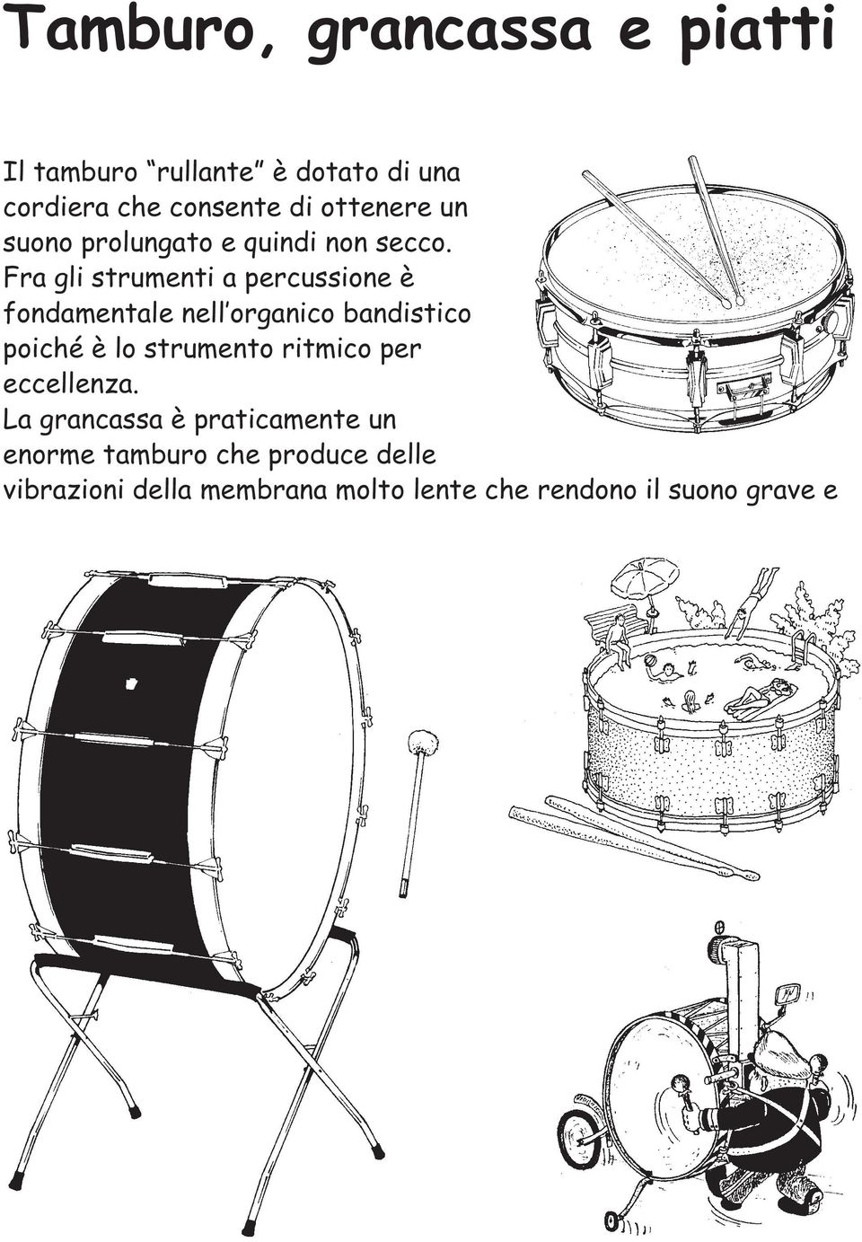 Fra gli strumenti a percussione è fondamentale nell organico bandistico poiché è lo strumento