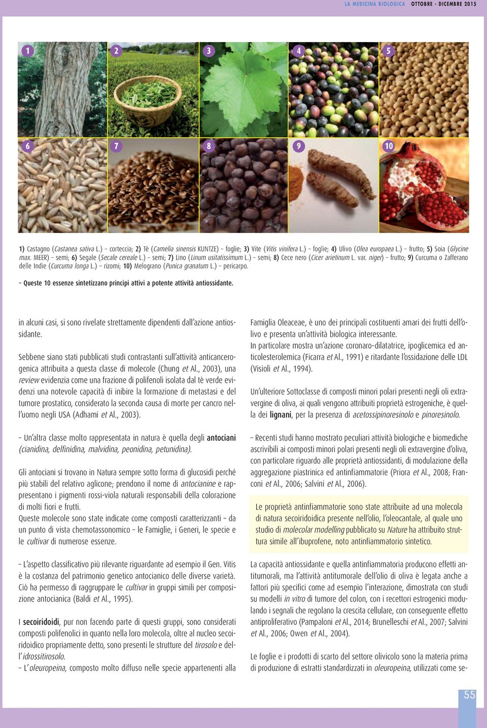 ) rizomi; 10) Melograno (Punica granatum L.) pericarpo. Queste 10 essenze sintetizzano principi attivi a potente attività antiossidante.
