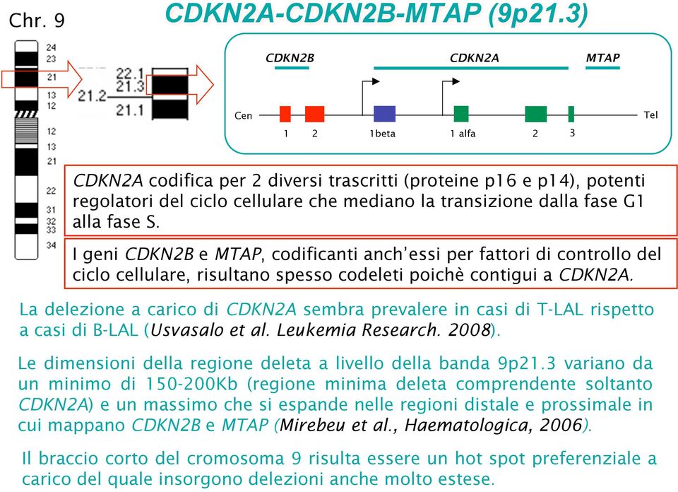 fase S. I geni CDKN2B e MTAP, codificanti anch essi per fattori di controllo del ciclo cellulare, risultano spesso codeleti poichè contigui a CDKN2A.