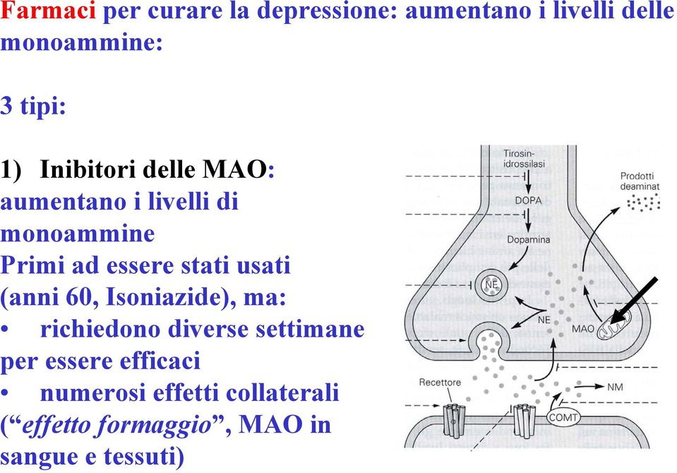 stati usati anni 60, Isoniazide), ma: richiedono diverse settimane er