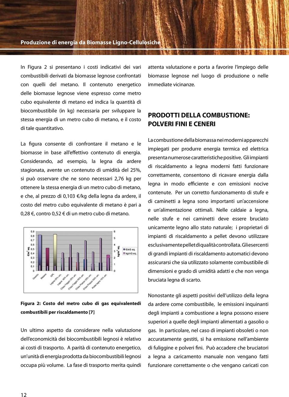 metro cubo di metano, e il costo di tale quantitativo. La figura consente di confrontare il metano e le biomasse in base all effettivo contenuto di energia.