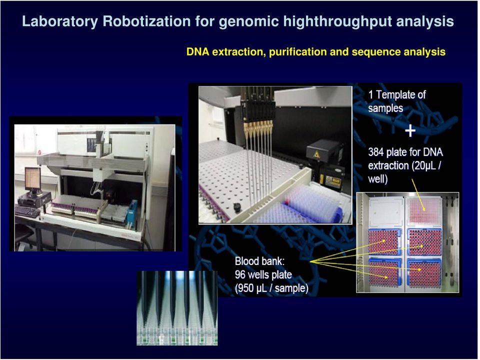 analysis DNA extraction,