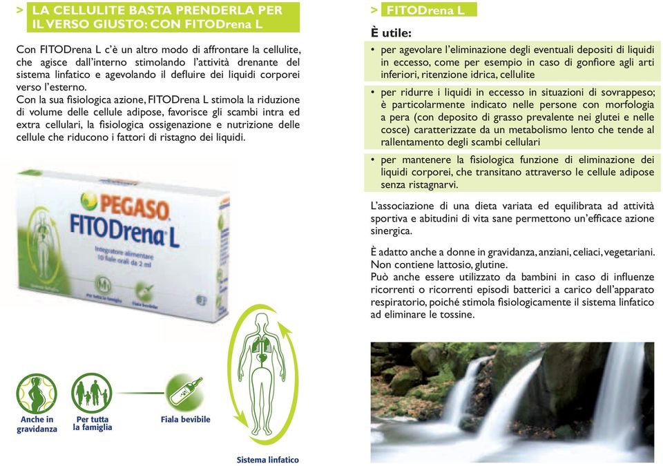 Con la sua fi siologica azione, FITODrena L stimola la riduzione di volume delle cellule adipose, favorisce gli scambi intra ed extra cellulari, la fi siologica ossigenazione e nutrizione delle