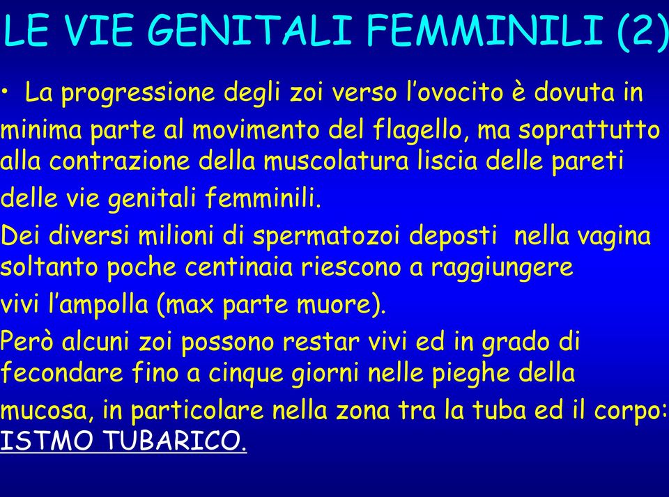 ei diversi milioni di spermatozoi deposti nella vagina oltanto poche centinaia riescono a raggiungere ivi l ampolla (max parte