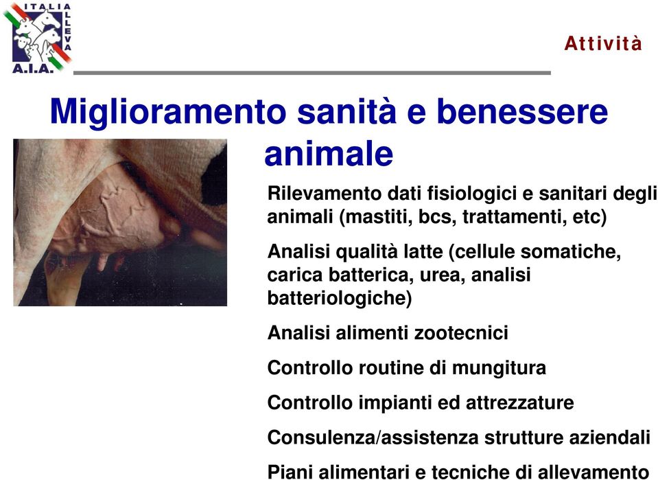 urea, analisi batteriologiche) Analisi alimenti zootecnici Controllo routine di mungitura Controllo