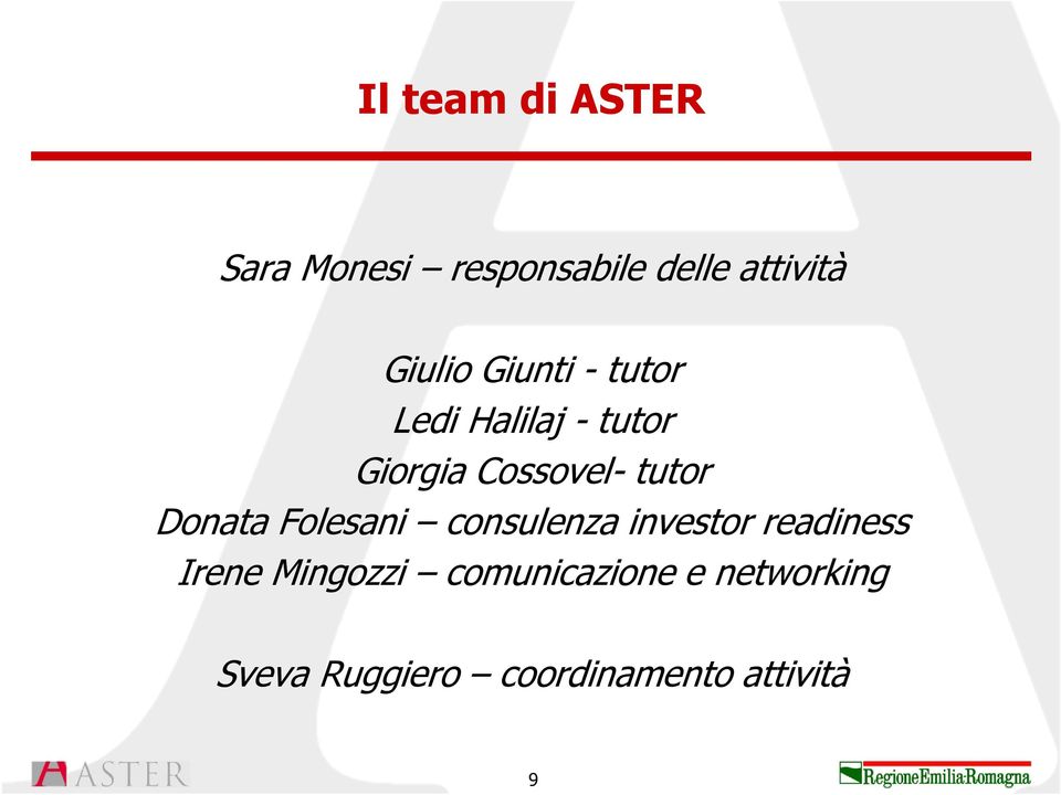 tutor Donata Folesani consulenza investor readiness Irene