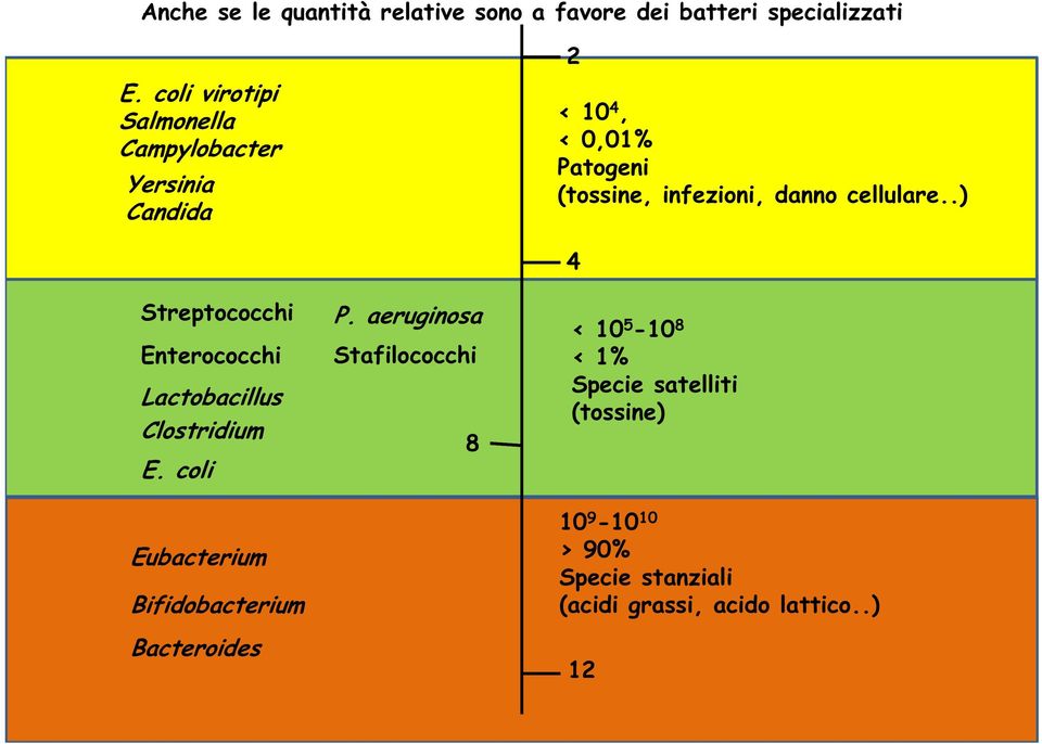 cellulare..) Streptococchi Enterococchi Lactobacillus Clostridium E.