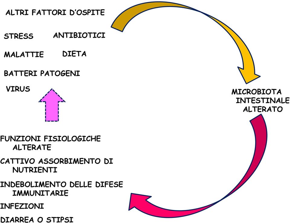 FUNZIONI FISIOLOGICHE ALTERATE CATTIVO ASSORBIMENTO DI