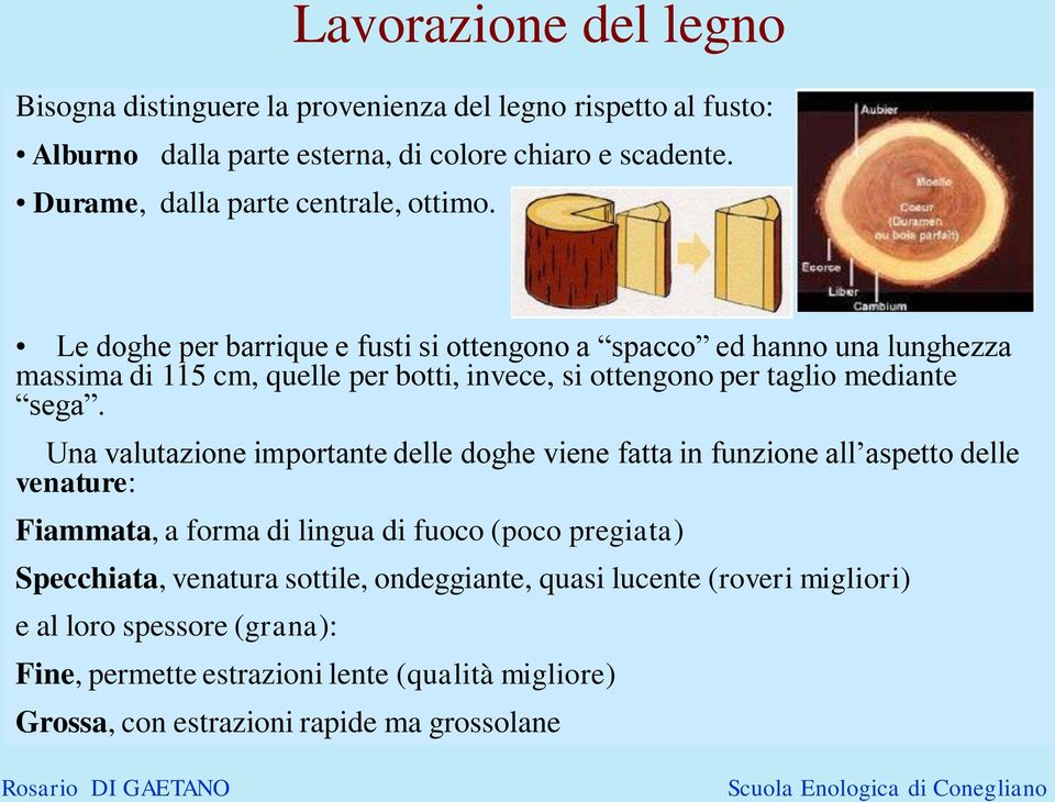 Le doghe per barrique e fusti si ottengono a spacco ed hanno una lunghezza massima di 115 cm, quelle per botti, invece, si ottengono per taglio mediante sega.