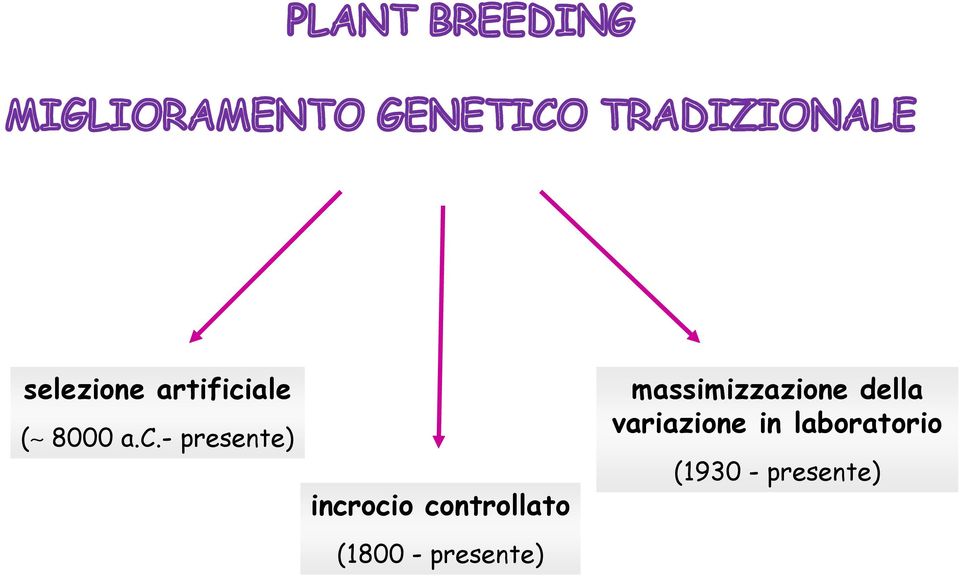 - presente) incrocio controllato