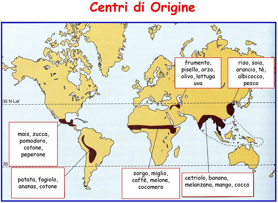 pomodoro, cotone, peperone patata, fagiolo, ananas, cotone