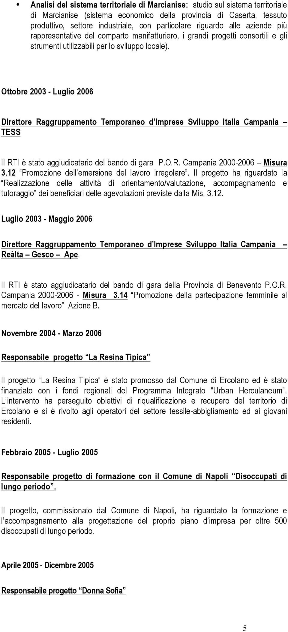 Ottobre 2003 - Luglio 2006 Direttore Raggruppamento Temporaneo d Imprese Sviluppo Italia Campania TESS Il RTI è stato aggiudicatario del bando di gara P.O.R. Campania 2000-2006 Misura 3.