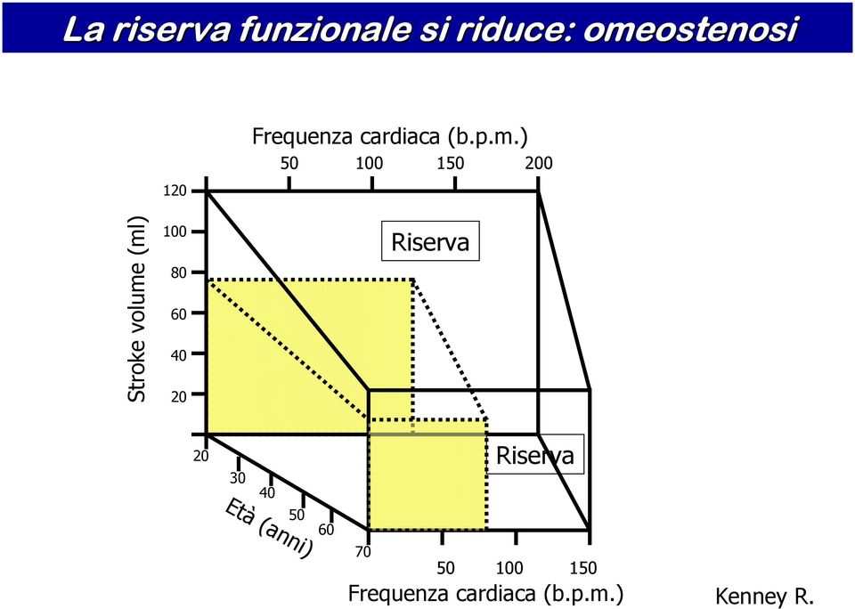 p.m.) 50 100 150 200 Riserva 20 Riserva 30 40 Età