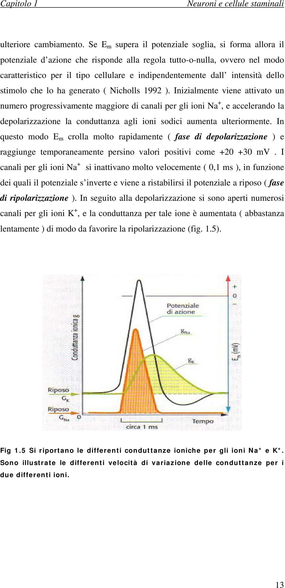 intensità dello stimolo che lo ha generato ( Nicholls 1992 ).