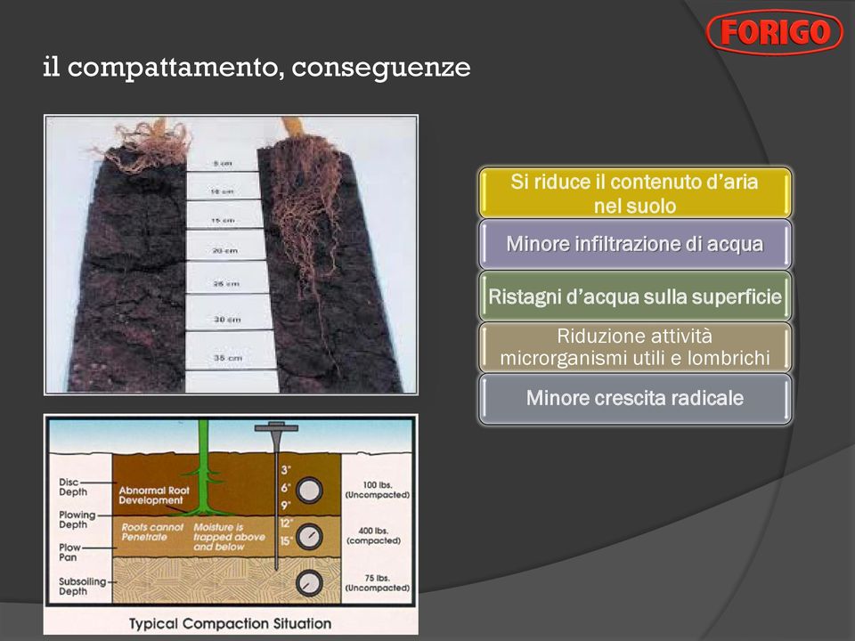 superficie Riduzione attività microrganismi utili e lombrichi Minore